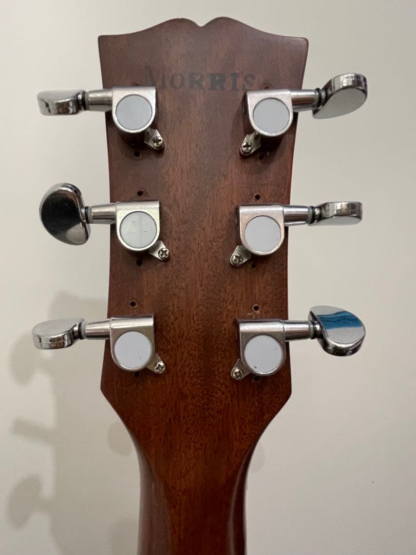 Morris W-30 アコースティックギター