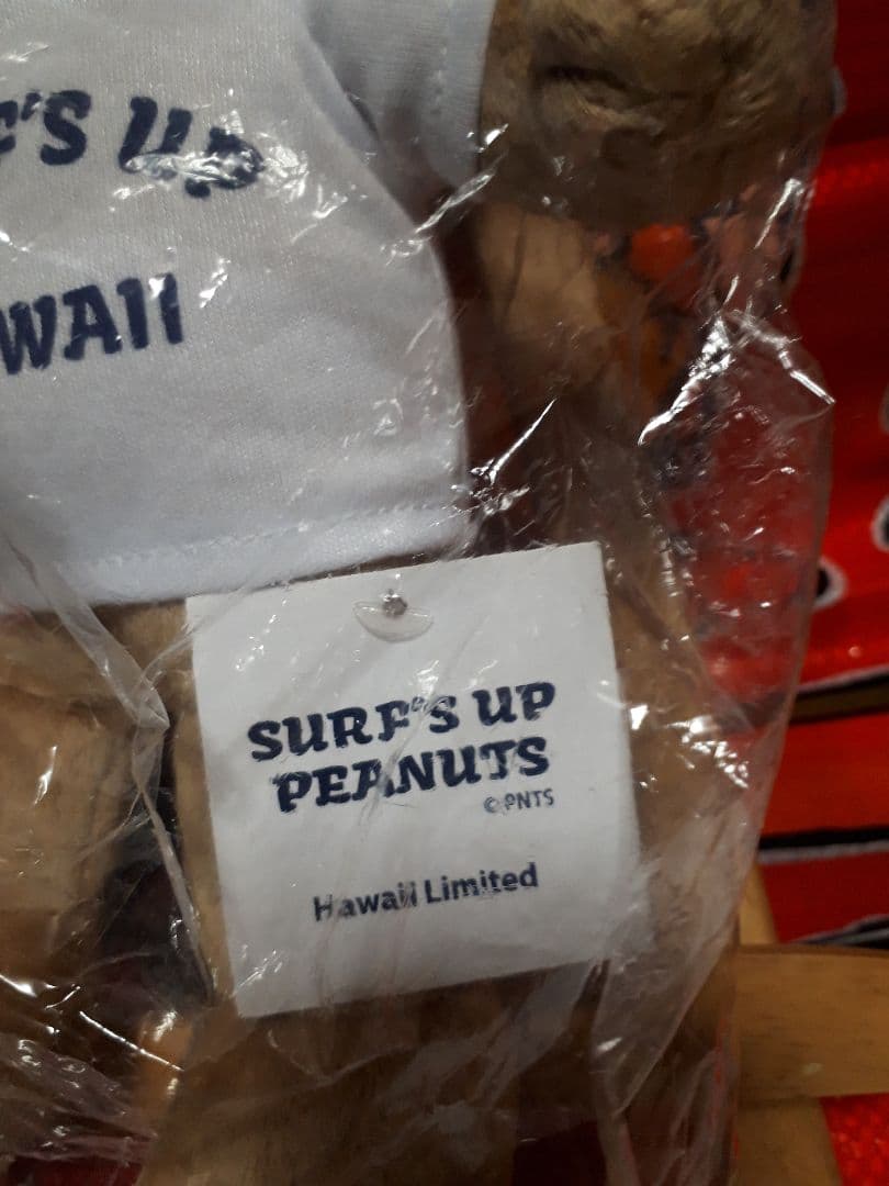 スヌーピーHAWAII ぬいぐるみSURF'S UP moni　　　レア！！