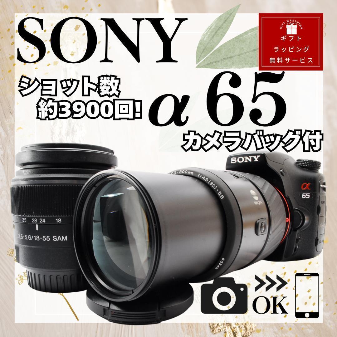 SONY α65✨ダブルレンズ✨超望遠✨超高画質✨スマホ転送✨バッグ付