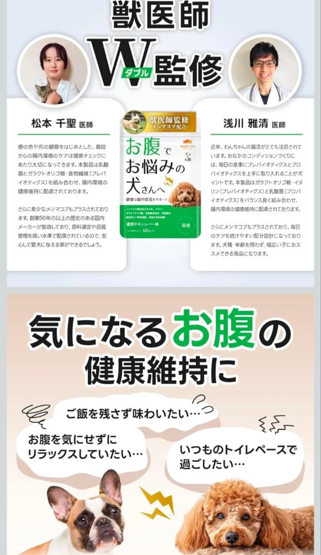 犬用フード 12個入り+サプリメント5種セット+おまけ