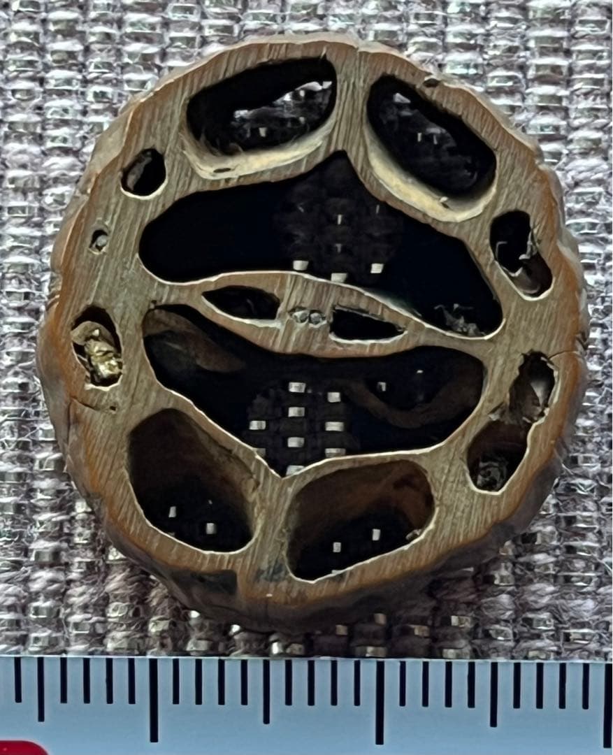 時代物　提げ物 6点　煙草入れ 煙管入れ 桃核 骨彫り 彫刻 アンティーク 古玩