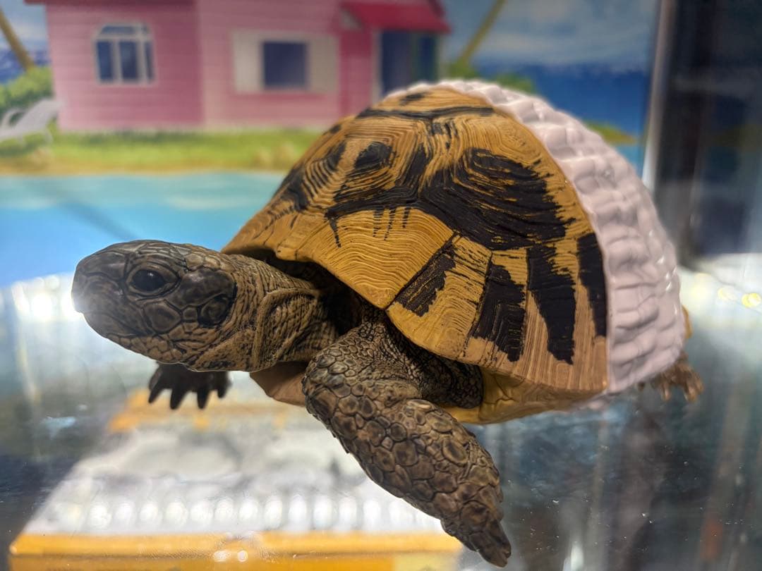 一番くじ 爬虫類＆両生類～Tiny Friends～vol.1.2 コンプリート