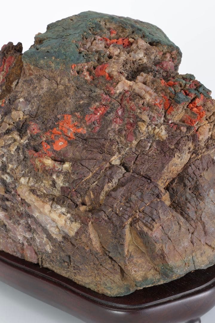 天覧 天然菊花石 大輪 6.5kg 台座付 鑑賞石 盆石 水石 自然石 美石