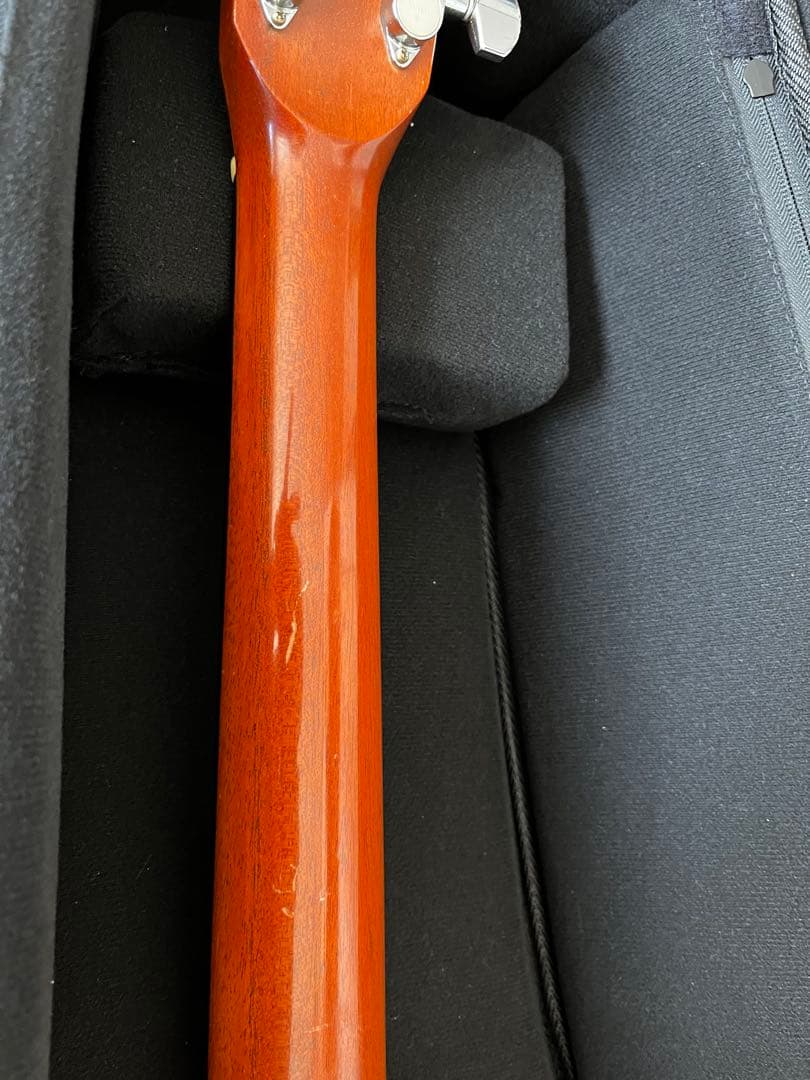 【最終価格】ASTURIAS EC.current maple