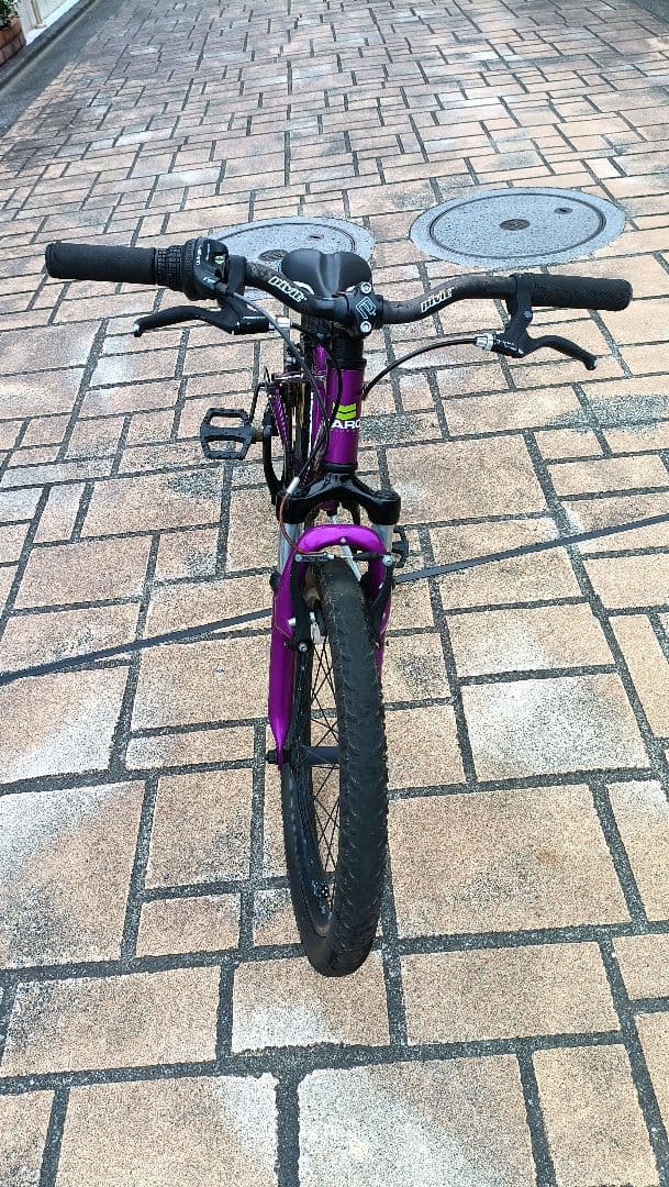 HARO 20インチ　自転車