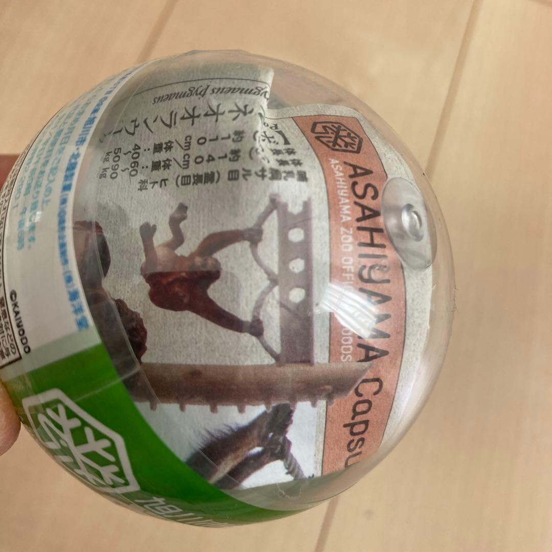 新品未開封　海洋堂　ガチャ　あさひやまどうぶつえん　vol.1 6種