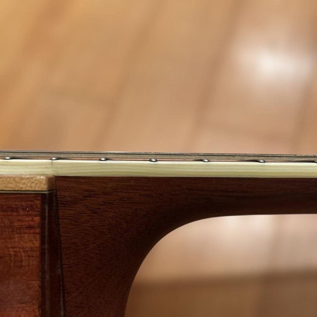 ギター larrivee LV-05