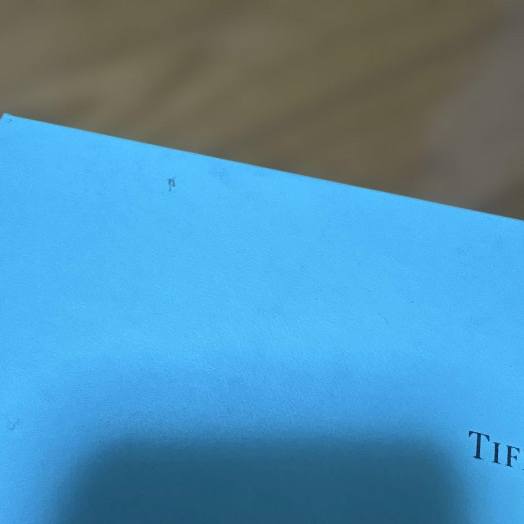 Tiffany & Co. 黒 レザー ペンケース 箱付き