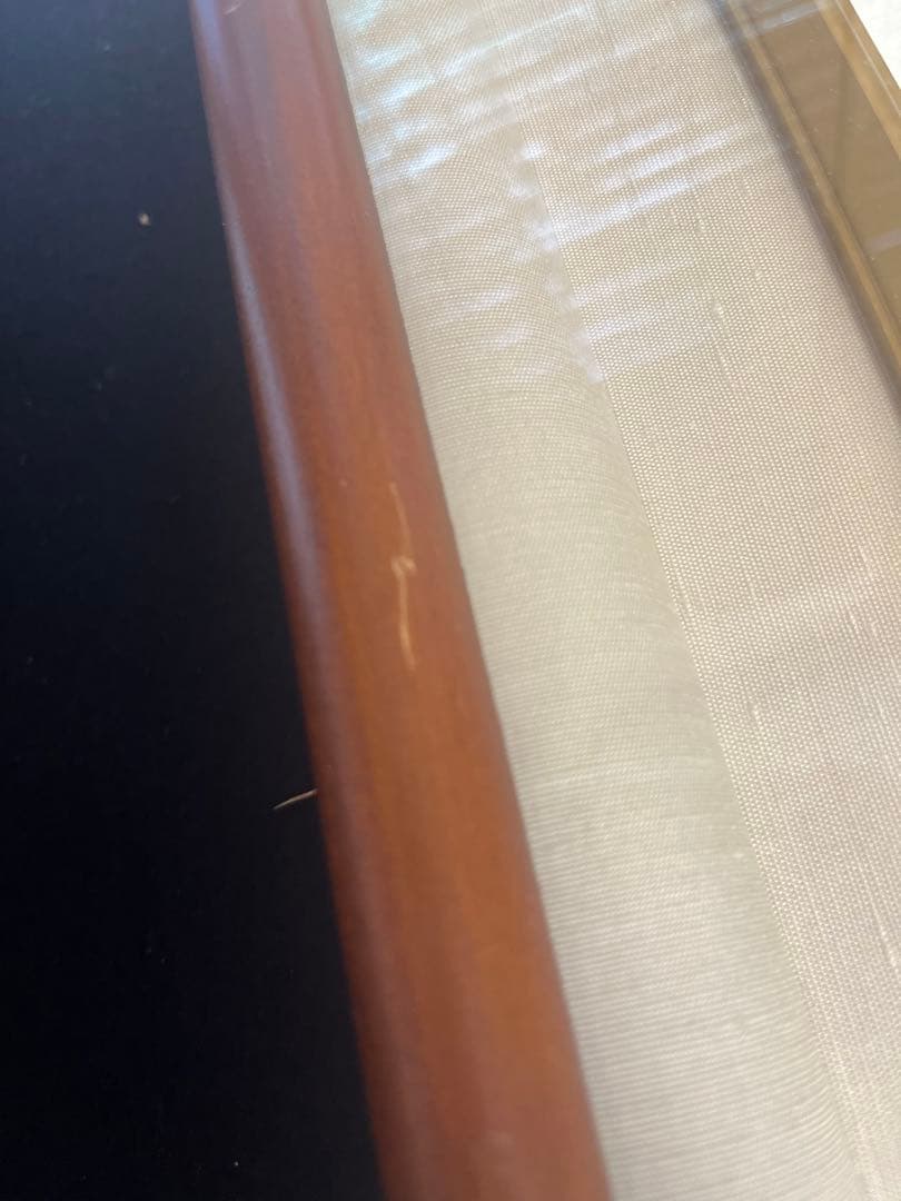 中国画　色紙　額　額縁　美術品　絵画　書道　アンテイーク　画額　在銘　肉筆