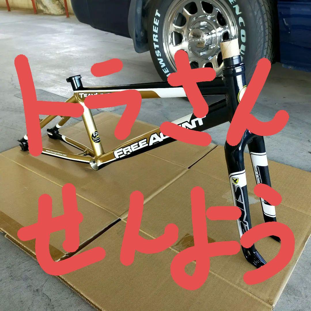 FREE AGENT TEAM LIMO BMXフレーム　カーボンフォークセット