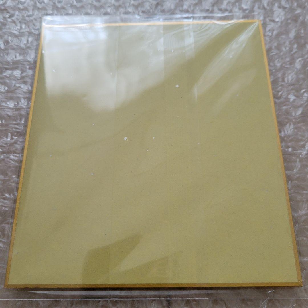 C105 鬼滅の刃 柱稽古編 幕間画集 豪華版 不死川実弥