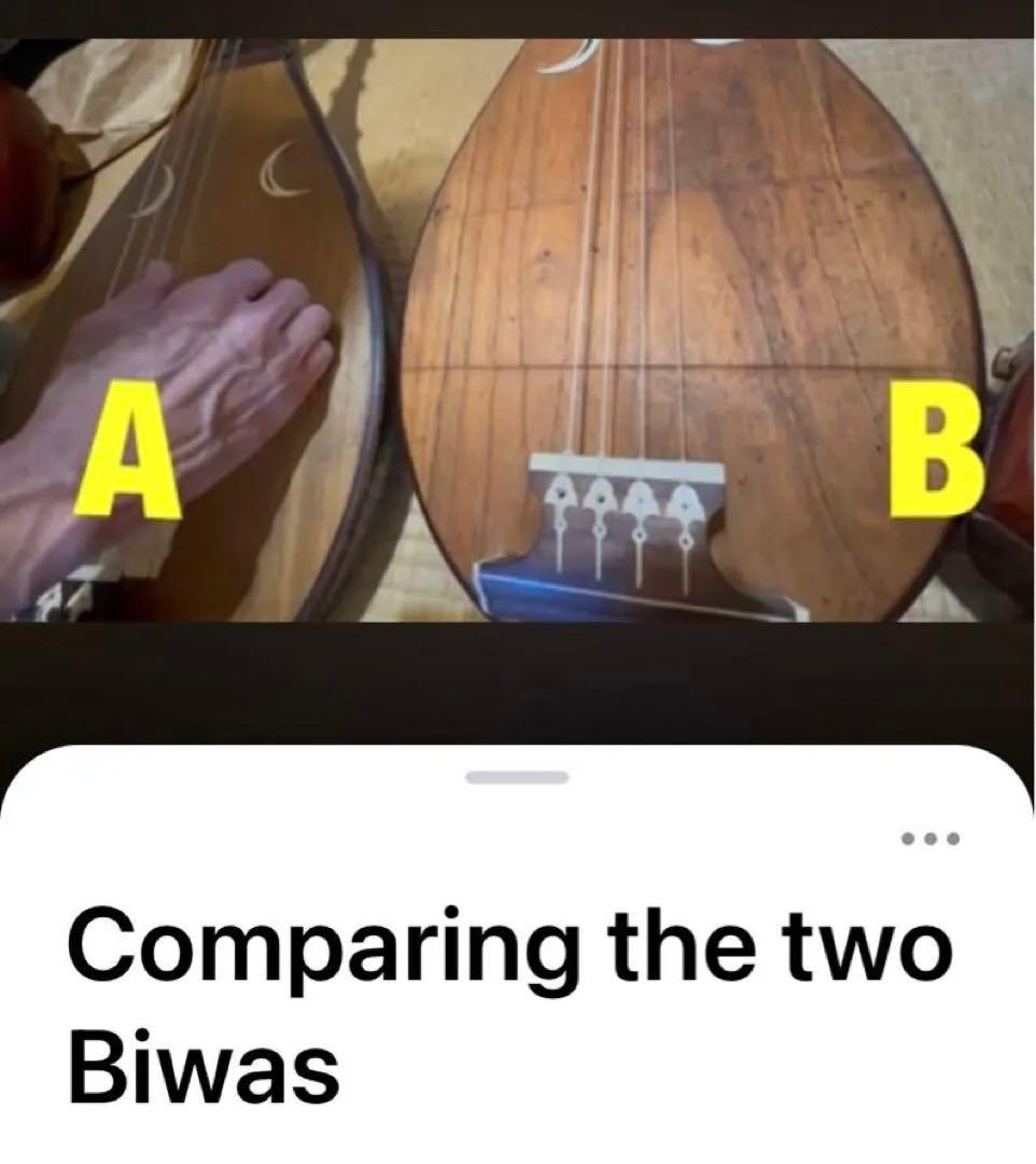 筑前琵琶　架台・撥付