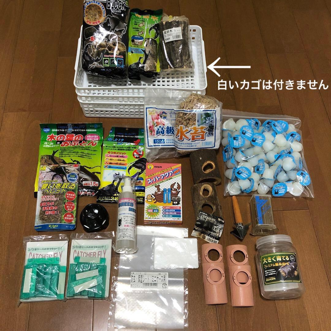 昆虫飼育　ケース　コバエシャッター　クリアスライダー　まとめ売り　おまけ多数あり