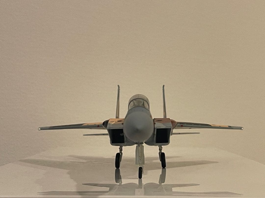 ミリタリー *Sale* Hobby Master F15DJ HA4513 1/72