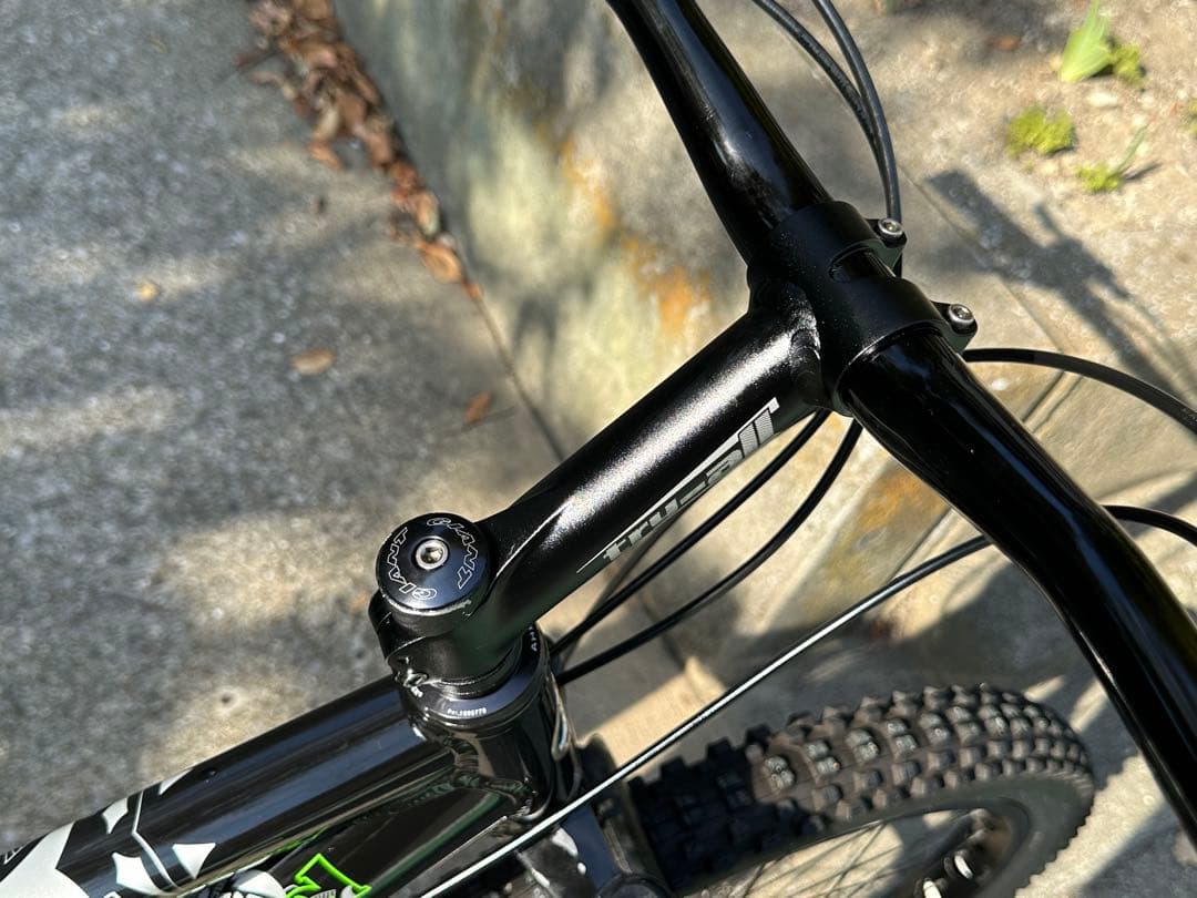 ジャイアント　カスタム　油圧ブレーキ　ホイール　ステア