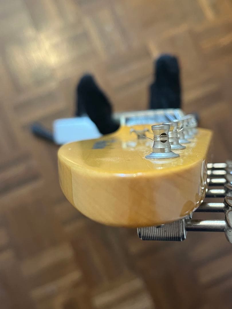 Phantom Guitar Works テレファントム Phantele