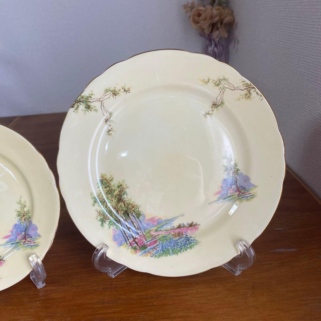 エインズレイ　ブルーベル　クリームイエロー　カルテットカップ　ソーサー　プレート