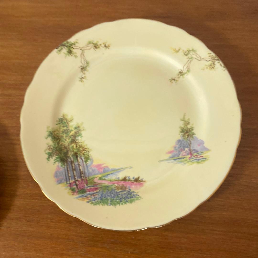 エインズレイ　ブルーベル　クリームイエロー　カルテットカップ　ソーサー　プレート