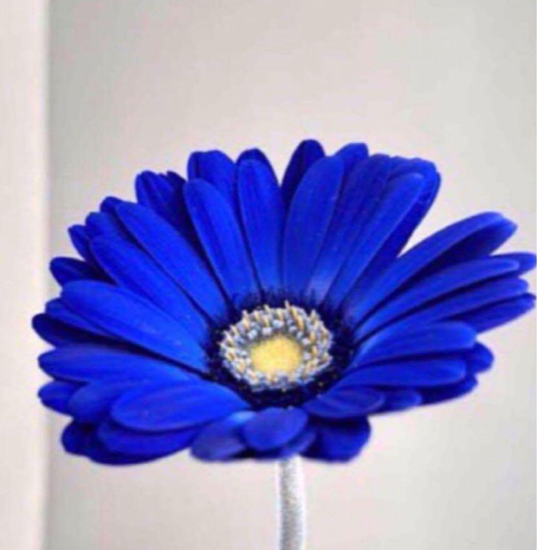 かんり クリアミネラルソープ3 その他