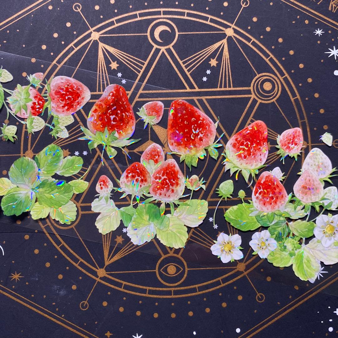 【9243】海外　マステ　中古巻　貝殻光マスキングテープ　苺　果物　お花　装飾系