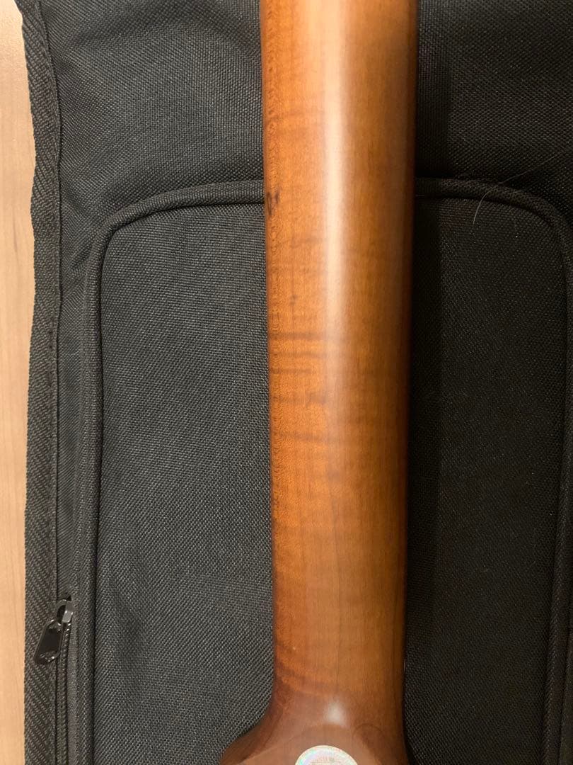 ギター Bacchus BSH-AGED/RSM SBBD-AGED