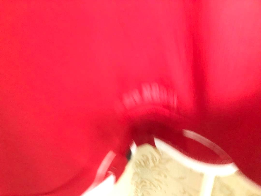 浦和レッズ2007 ロブソン・ポンテ ACL仕様 優勝モデル オーセンティック