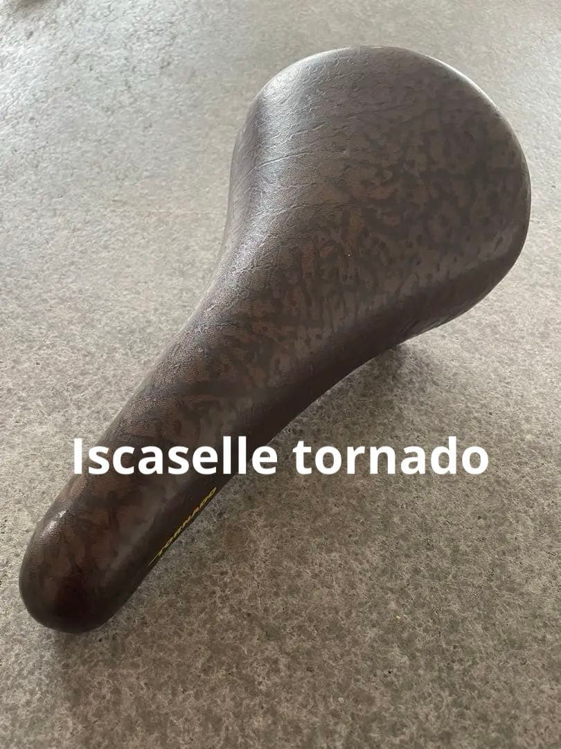 Iscaselle tornado イスカセラ サドル campagnolo