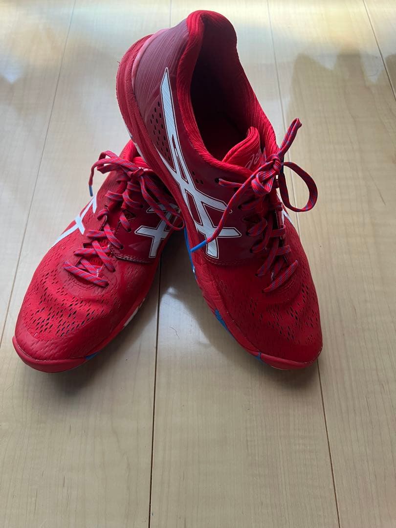 asics スカイエリート　限定色(27.5センチ)