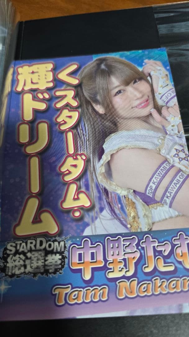 元スターダム　中野たむ選手　チェキ11枚セット　おまけ付き