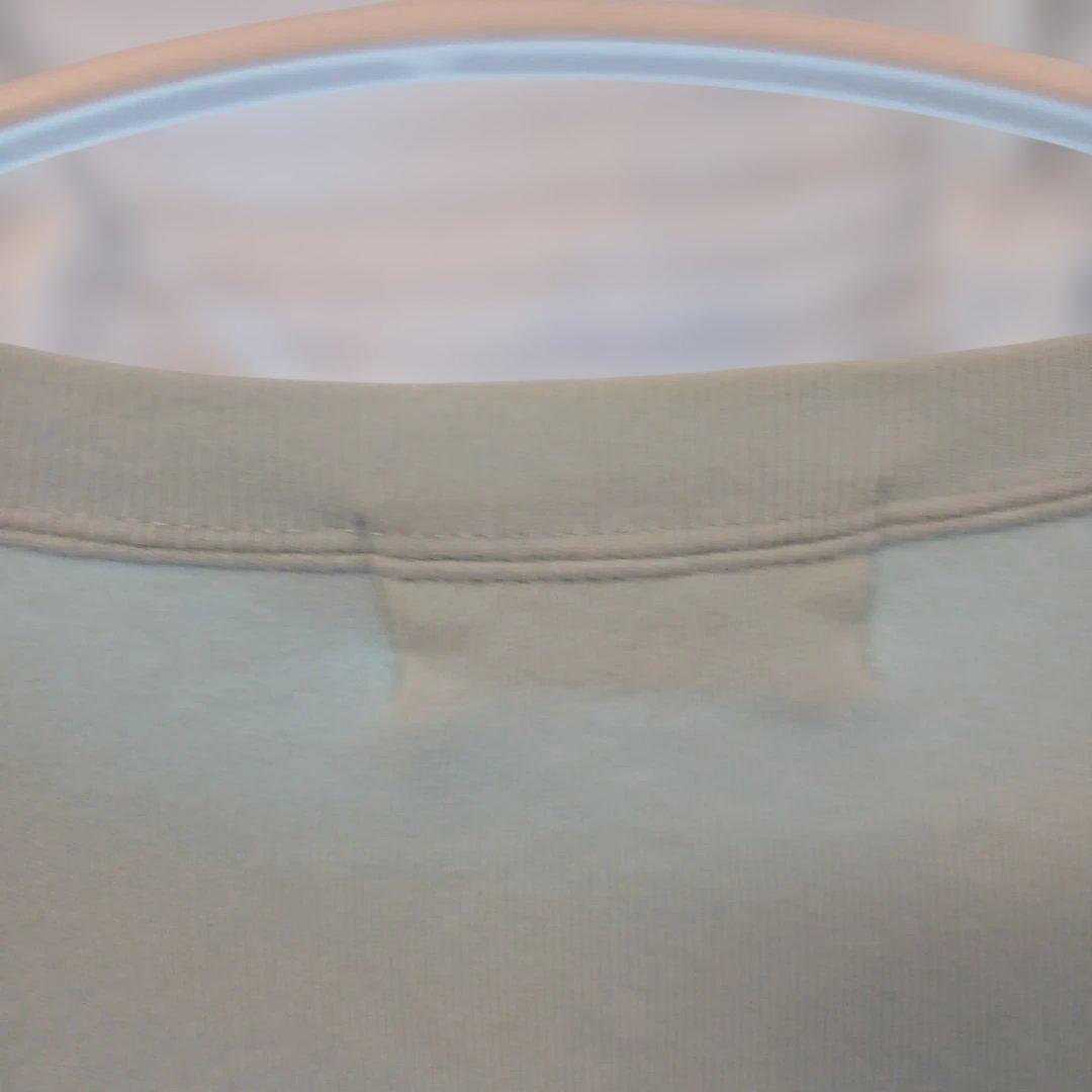 春先OK正規品美品A BATHING APE 水色 スウェット Mサイズ