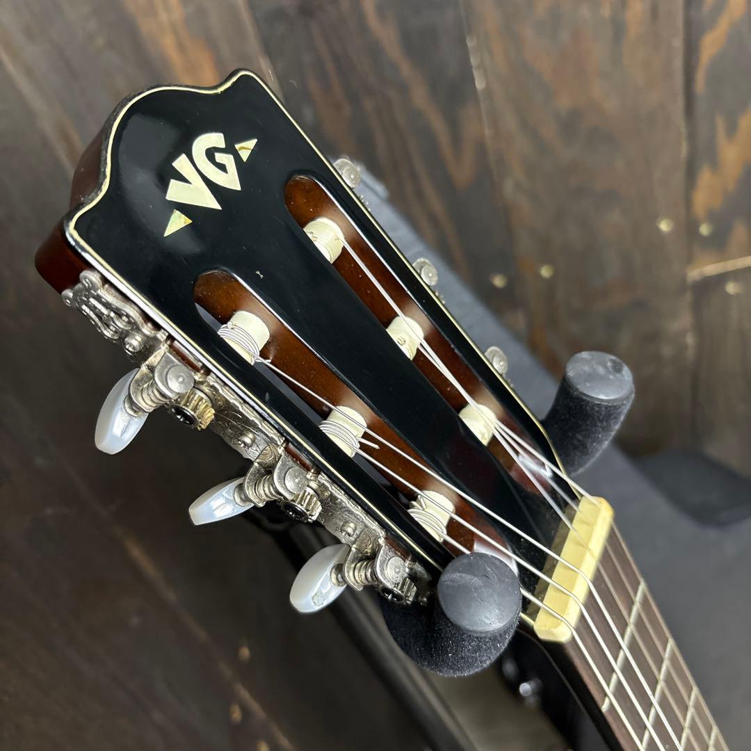 VG アコースティックギター カッタウェイ エレガットハードケース付き