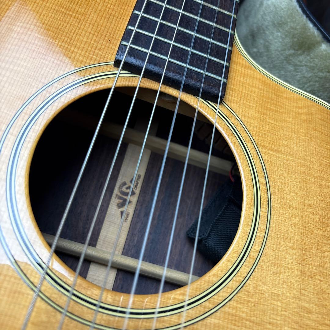 VG アコースティックギター カッタウェイ エレガットハードケース付き