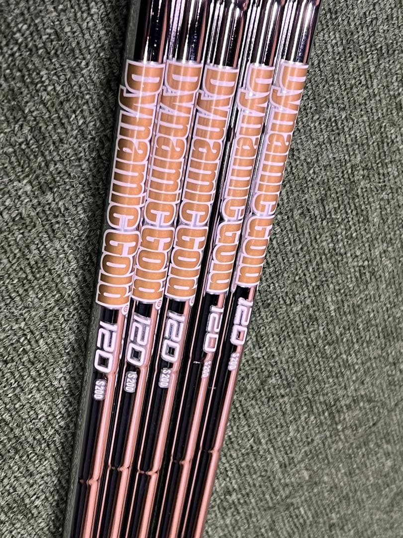 ダイナミックゴールド120 S200