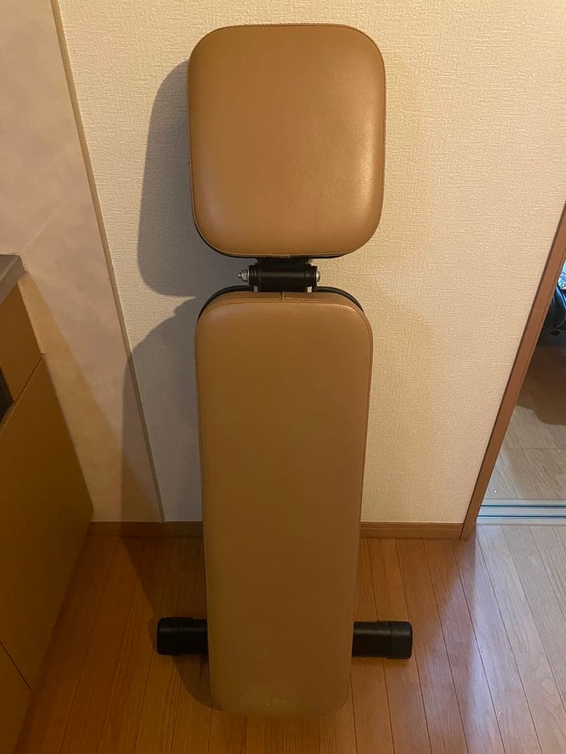 リーディングエッジ マルチポジションベンチ 限定カラー