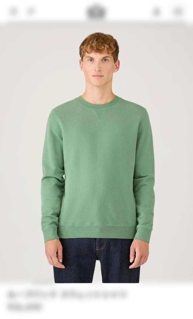 SUNSPELL グリーン スウェットシャツ Lサイズ (ほぼ新品、タグなし）