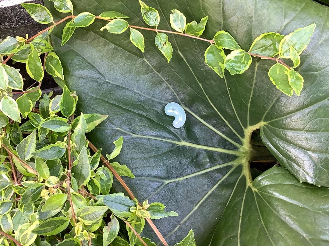 ✳最高峰*高品質とろとろのロウカン‼️ 糸魚川翡翠勾玉　本物をお持ちくださ…