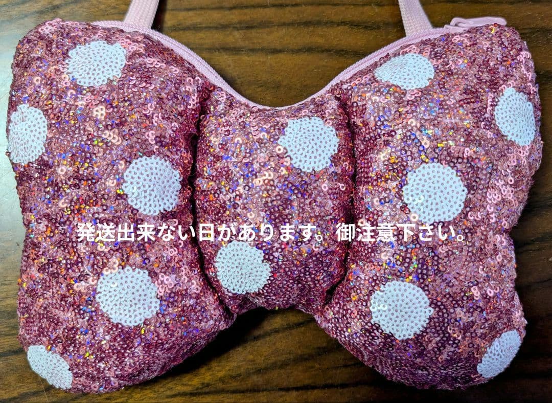 ディズニーパルパルーザ ミニーファンダーランドリボンバッグ