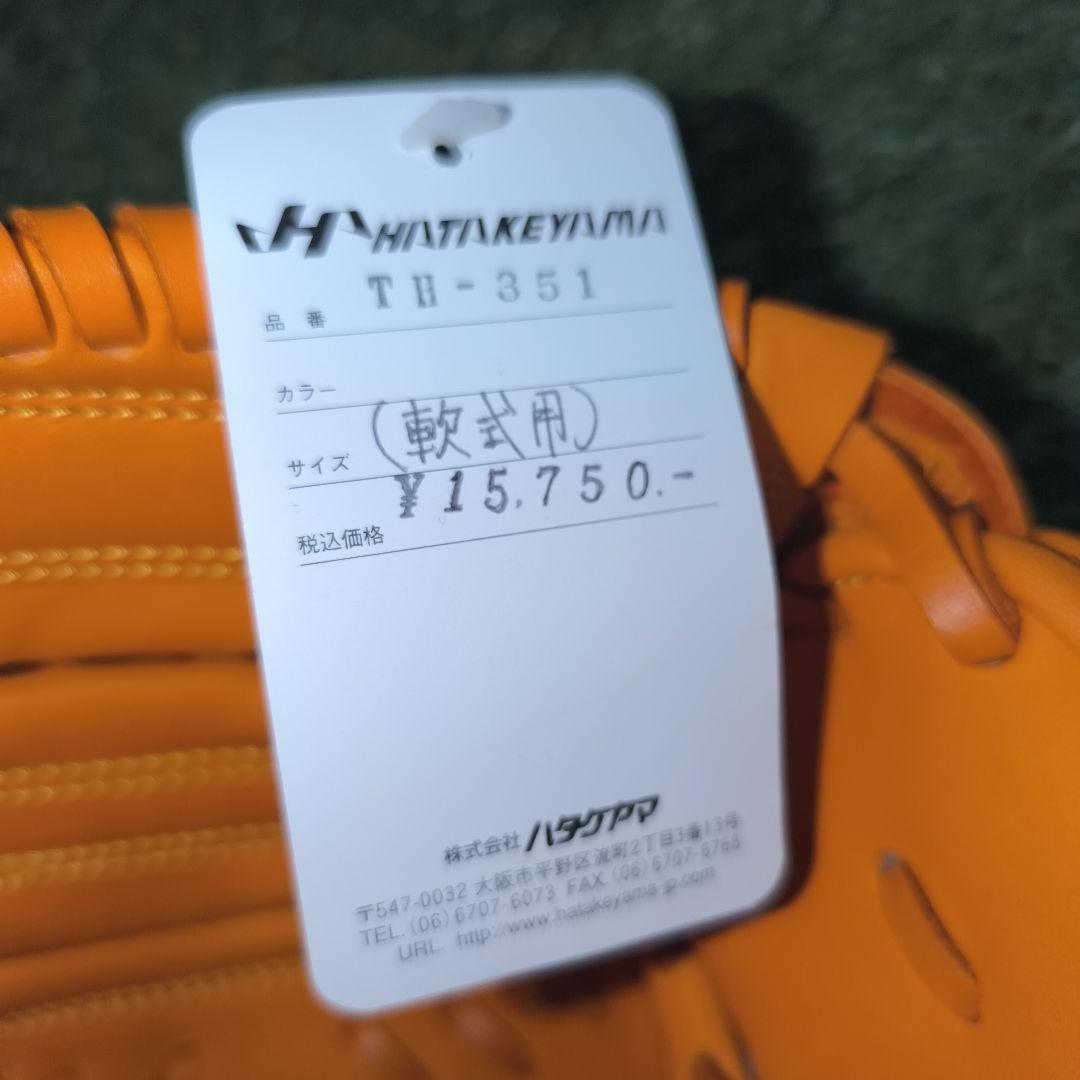 HATAKEYAMA ハタケヤマ ファーストミット