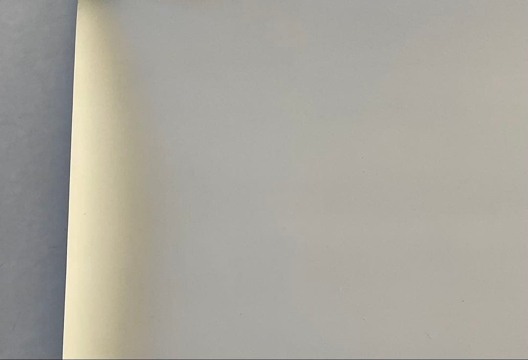 リノリウム　バレエ　ダンス　ホワイト 91×260cm 切売り可