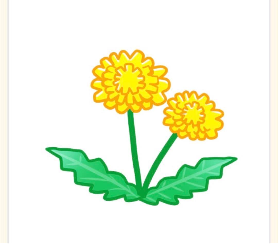 ウルトワ　シャンプー　1000ml