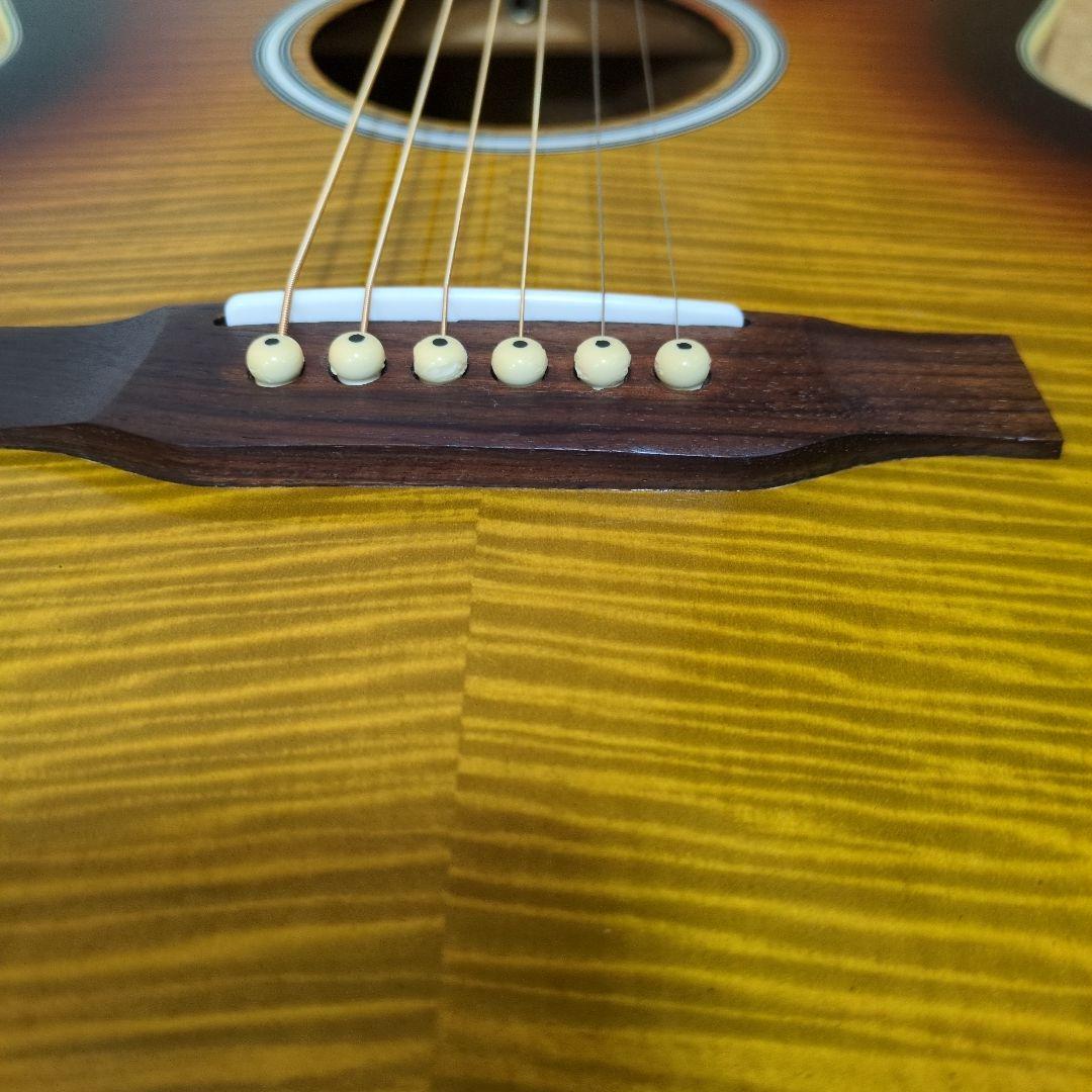 Pro Martin EA500W VS エレアコ