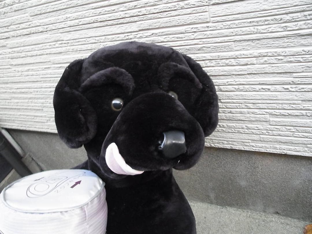 黒生 アサヒビール ノベルティ体長約１m 黒ベエ 犬　特大 ぬいぐるみ 非売