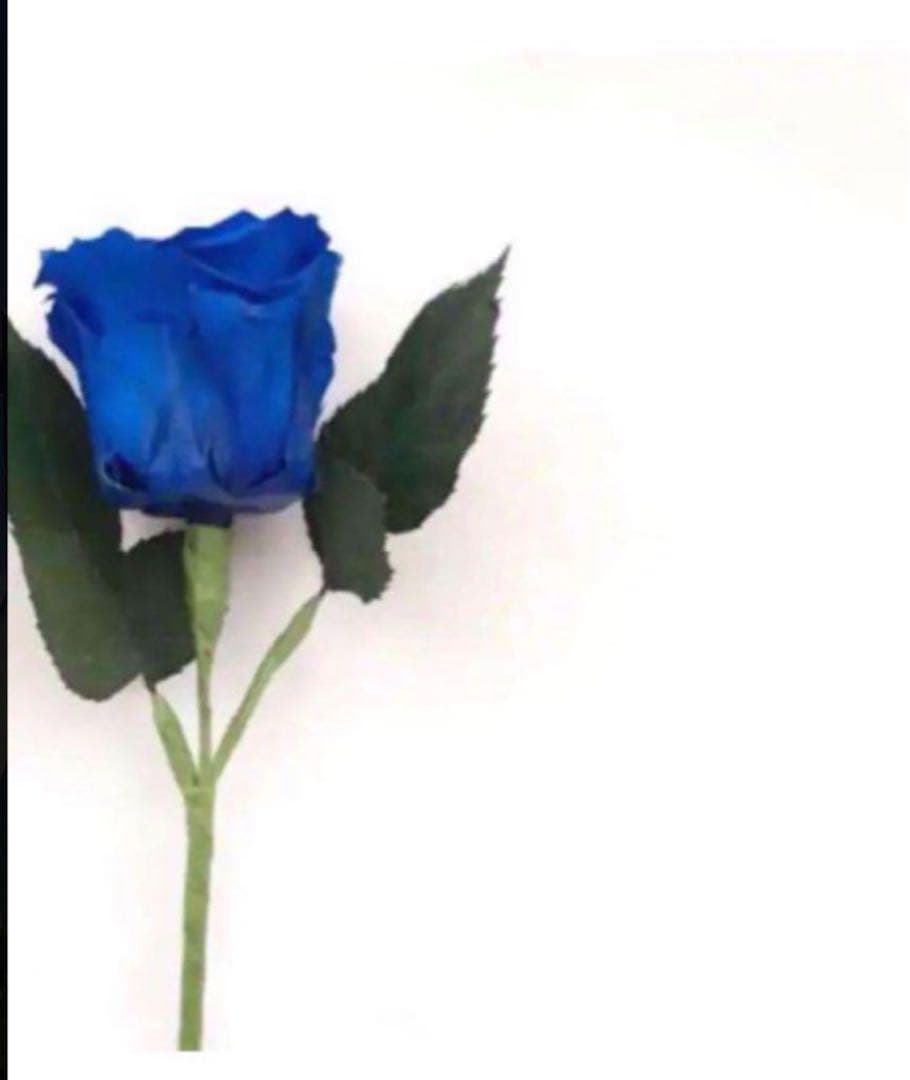 黒猫さま 専用 7点 おまとめ