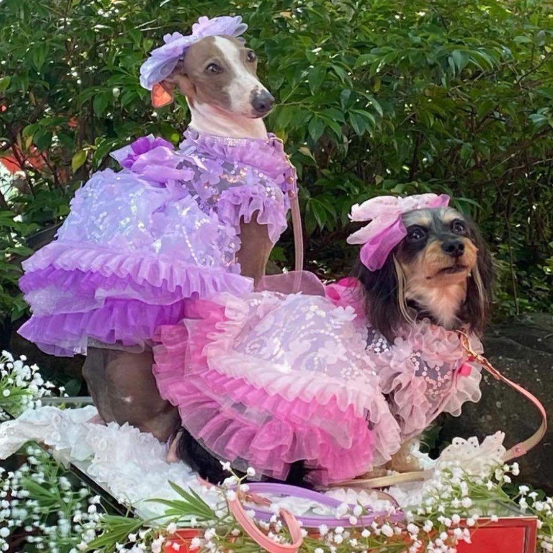 新品 luxebirdie フレリードレス　ピンク