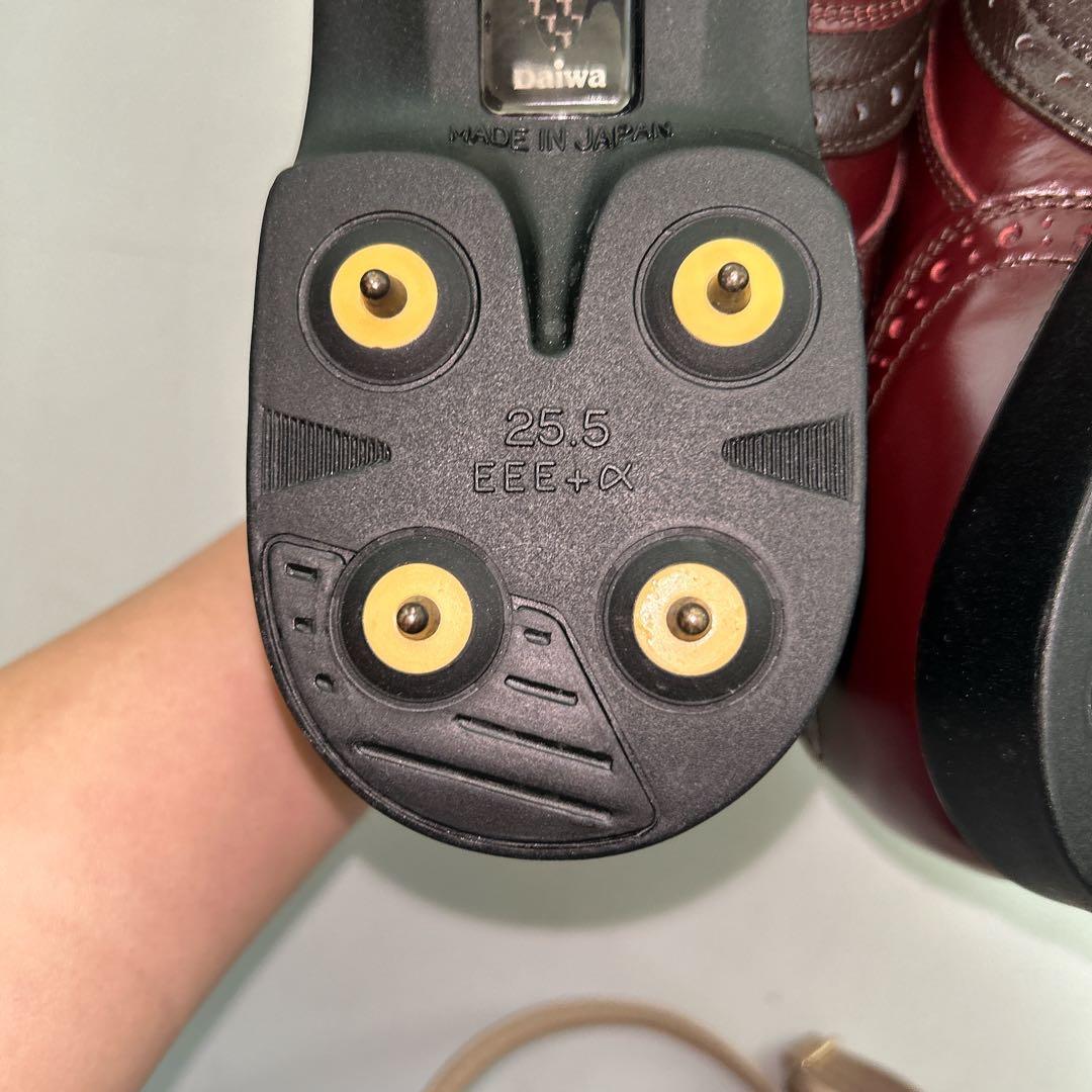 Daiwa ダイワ メンズゴルフシューズ 牛革 ゴアテックス 25.5cm