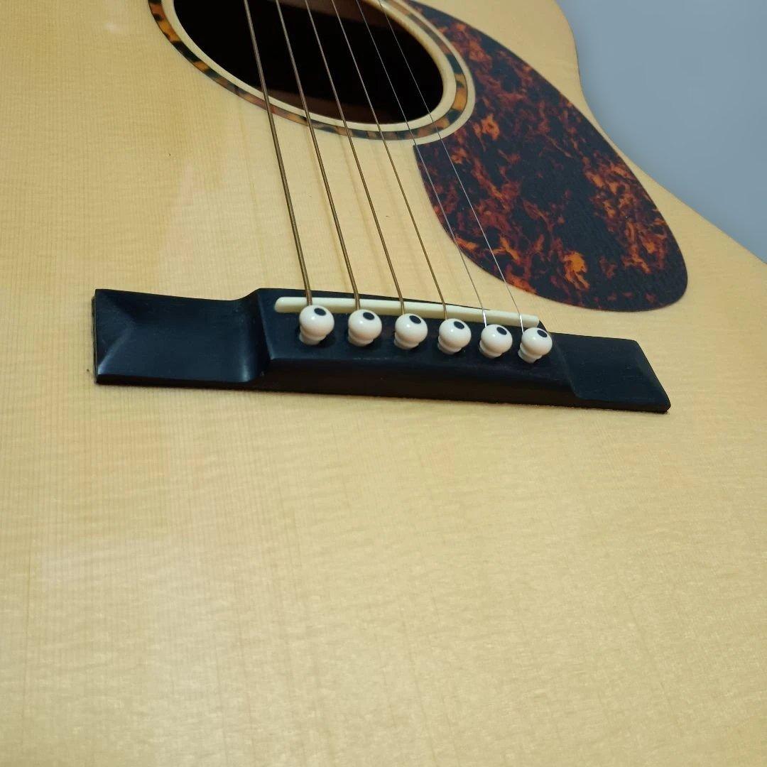 Recording King ROS-G6 アコースティックギター