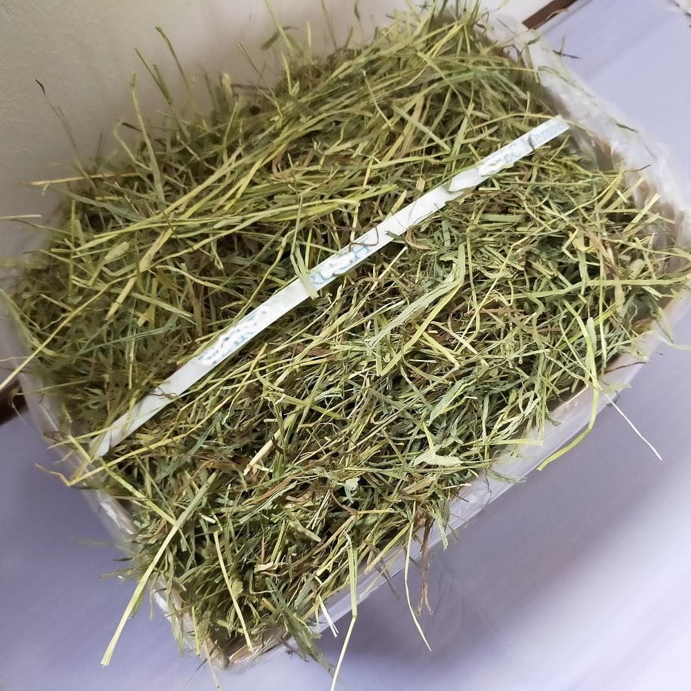US産 チモシー 120kg ２番刈り ソフトスーパープレミアム