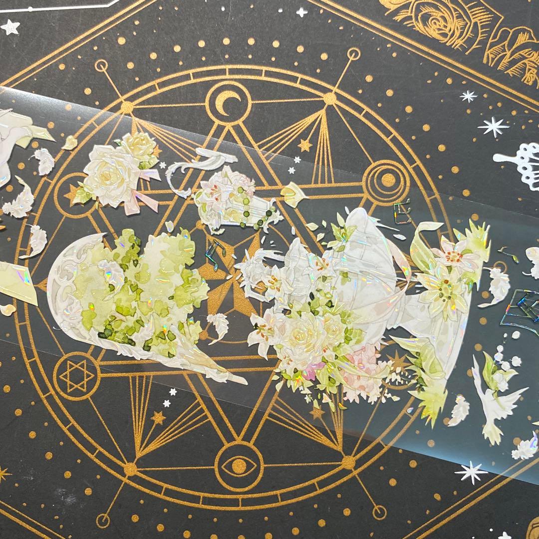 【9286】海外　マステ　中古巻　貝殻光マスキングテープ　装飾系　緑黄