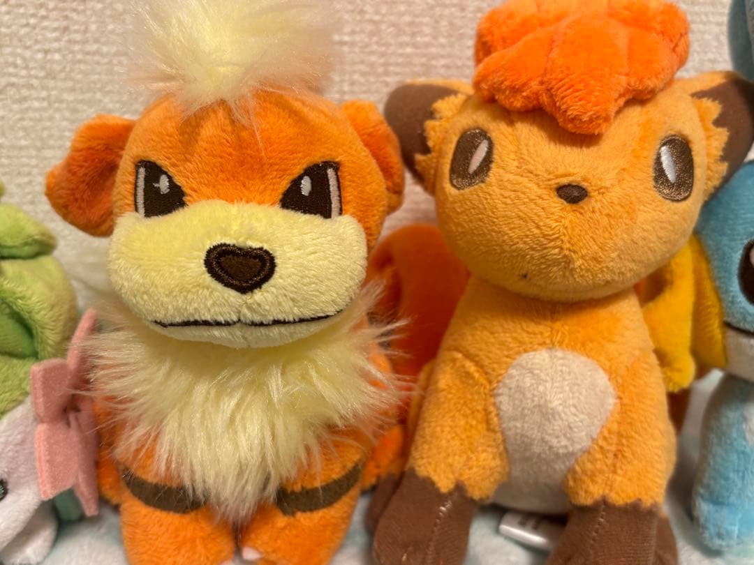 ポケモンセンター限定　キャンバス ぬいぐるみ　4体セット　ミズゴロウ、シェイミ