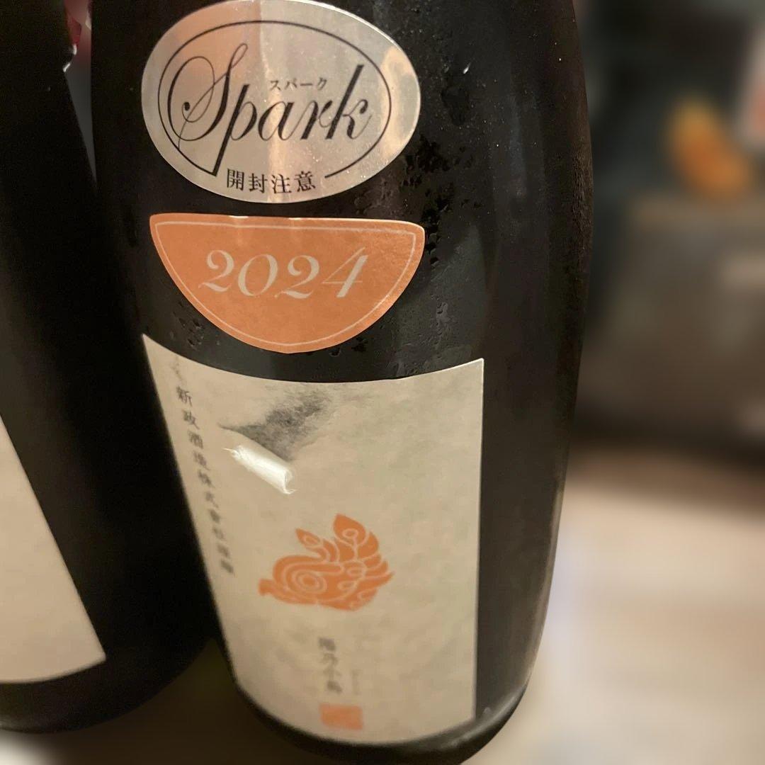 日本酒　新政　2025年